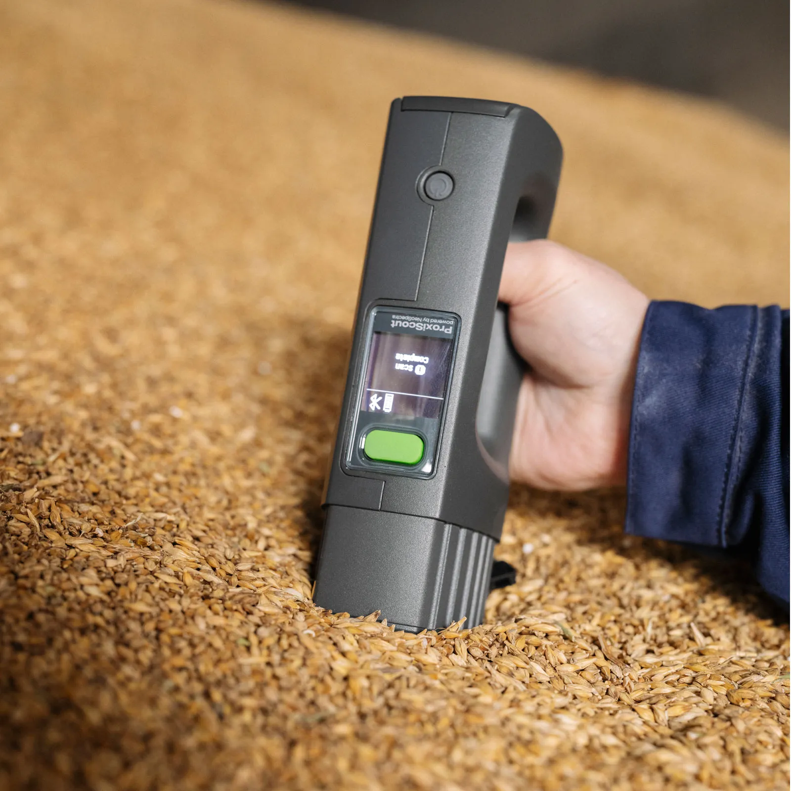 Rapid grain quality analysis with the BUCHI ProxiScout handheld NIR analyzer