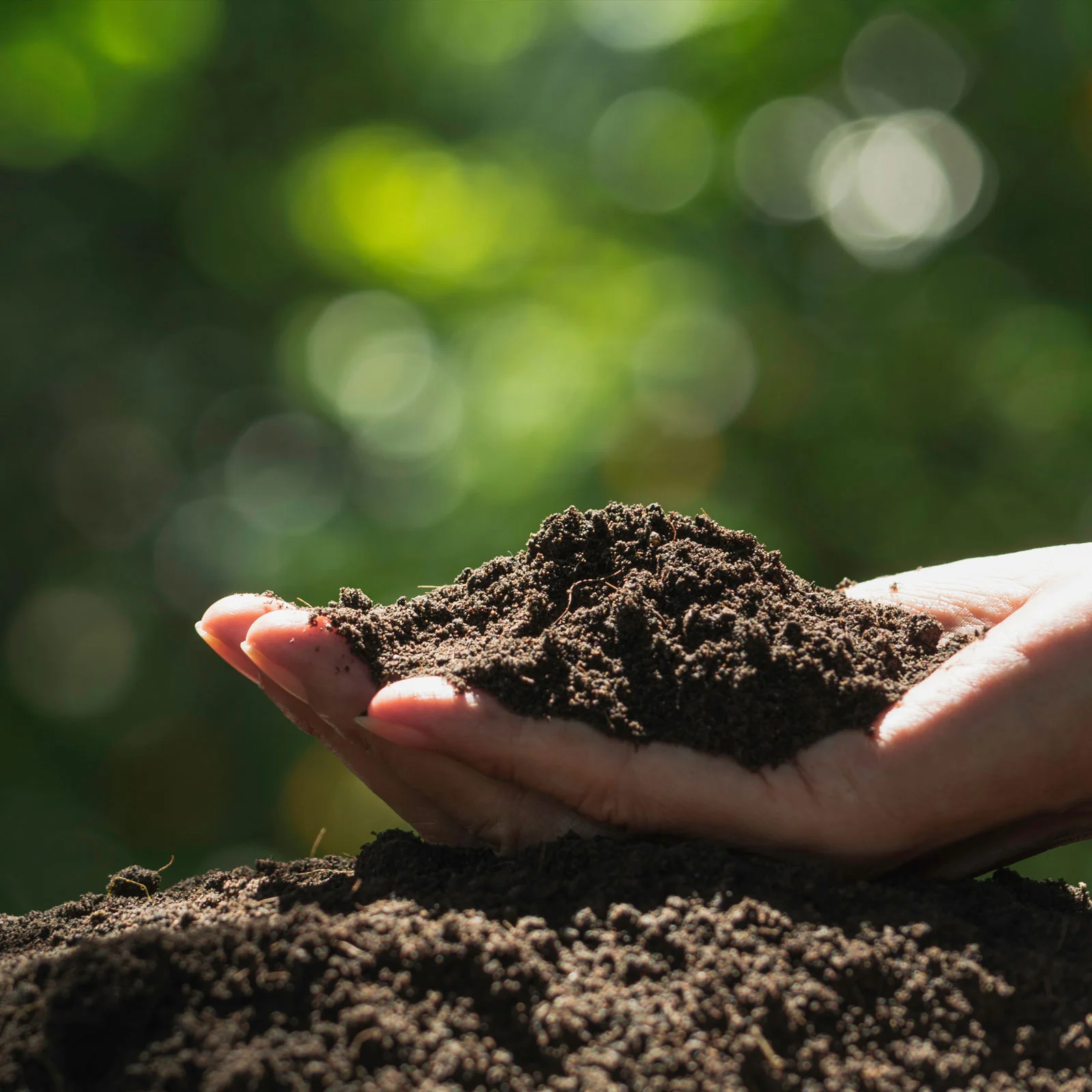 Fertilizer